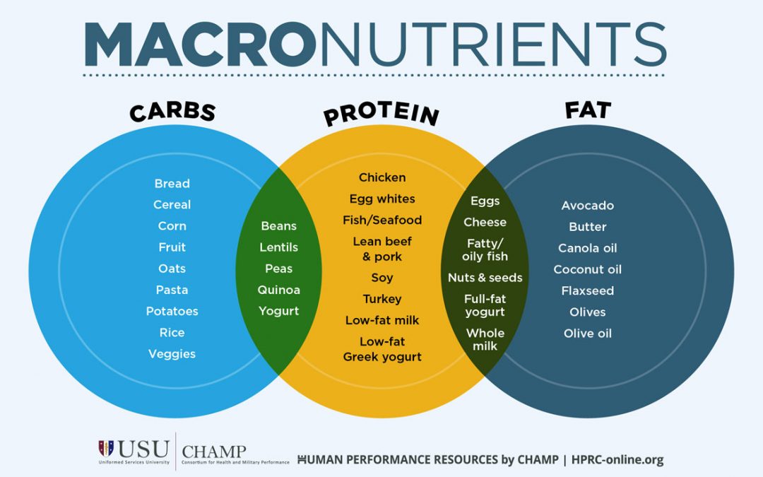 Macronutrients | What are They?